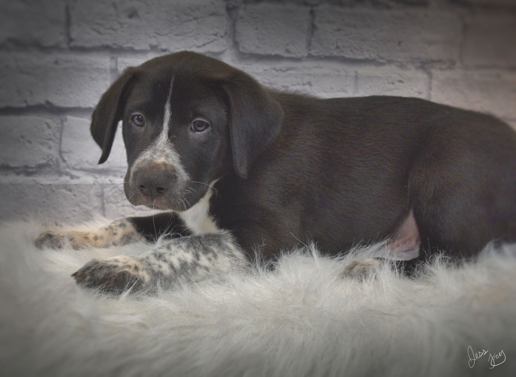 Truffle